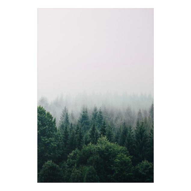 Stampa su alluminio - Foresta nella nebbia del crepuscolo