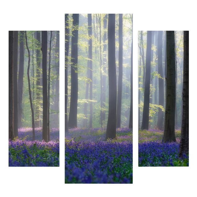 Quadri su tela Giornata di primavera nella foresta