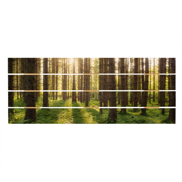 Stampa su legno - Raggi di Sun nel verde della foresta - Orizzontale 2:5