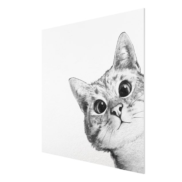 Stampa su Forex - Illustrazione Cat Disegno Nero Bianco - Quadrato 1:1