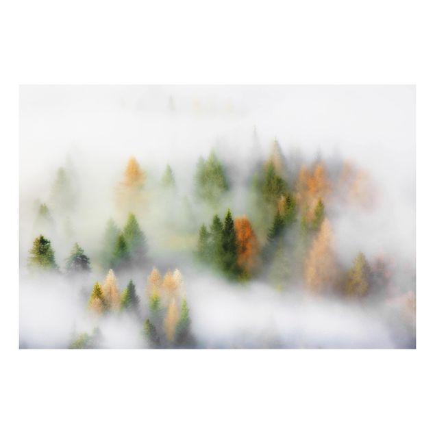 Quadro in forex - Nube di foresta in autunno - Orizzontale 3:2