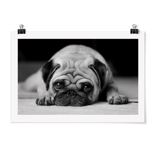 Poster - Pug Loves You II - Orizzontale 2:3