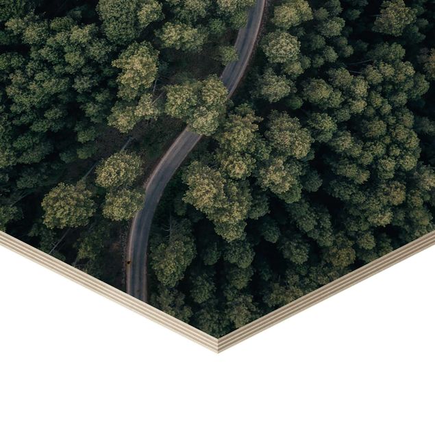 Esagono in legno - Veduta aerea - Forest Road From The Top