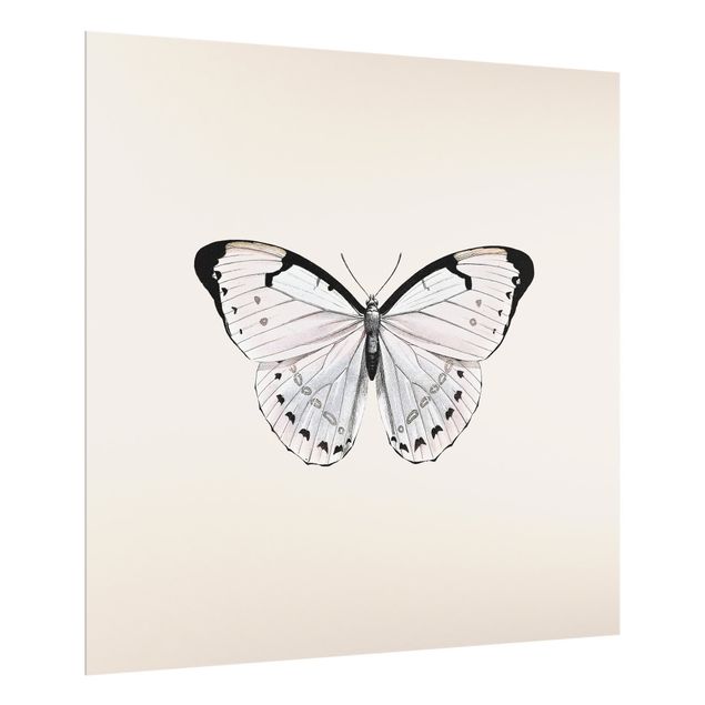 Paraschizzi in vetro - Farfalla su beige - Quadrato 1:1