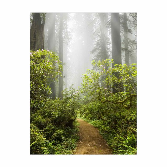 Tappeto bagno verde Sentiero della foresta nebbiosa