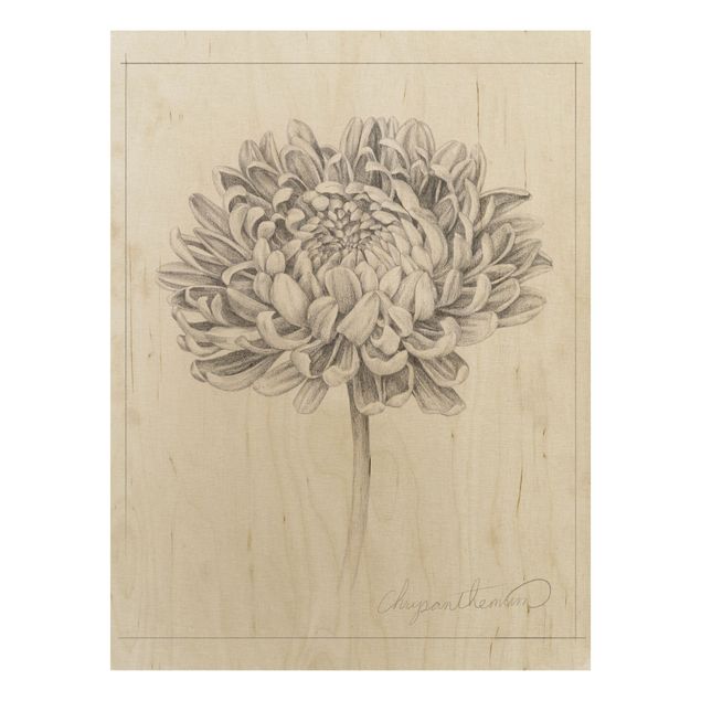 Stampa su legno - Botanical Study II Crisantemo - Verticale 4:3