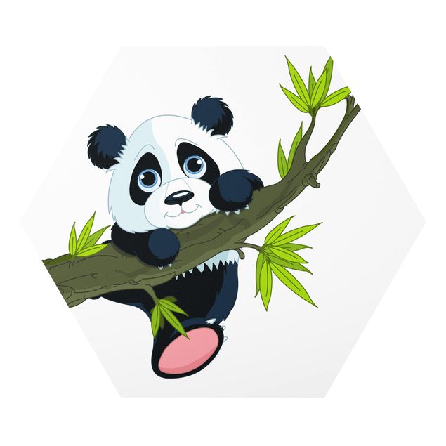 Esagono in forex - Climbing Panda
