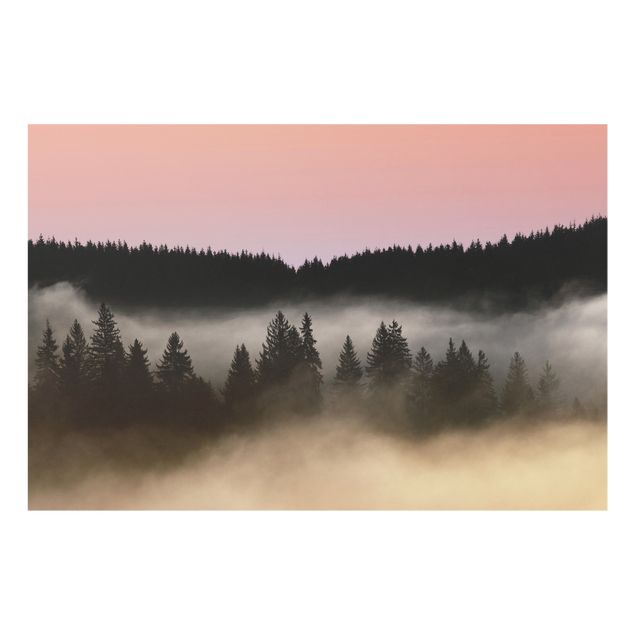 Paraschizzi in vetro - Foresta di nebbia sognante - Formato orizzontale 3:2