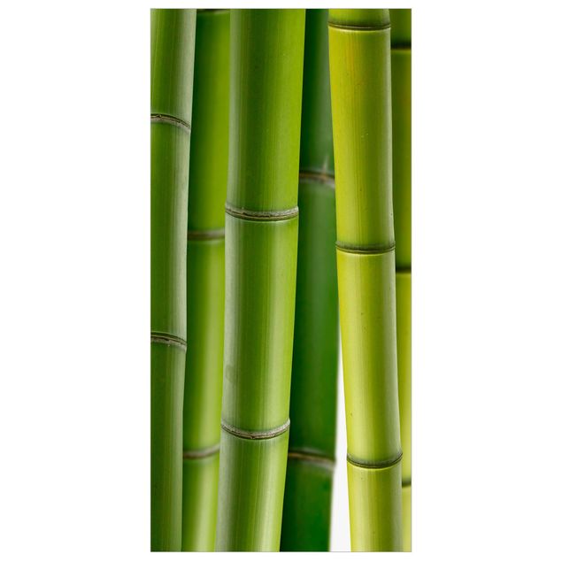 Tenda a pannello Bamboo Plants 250x120cm