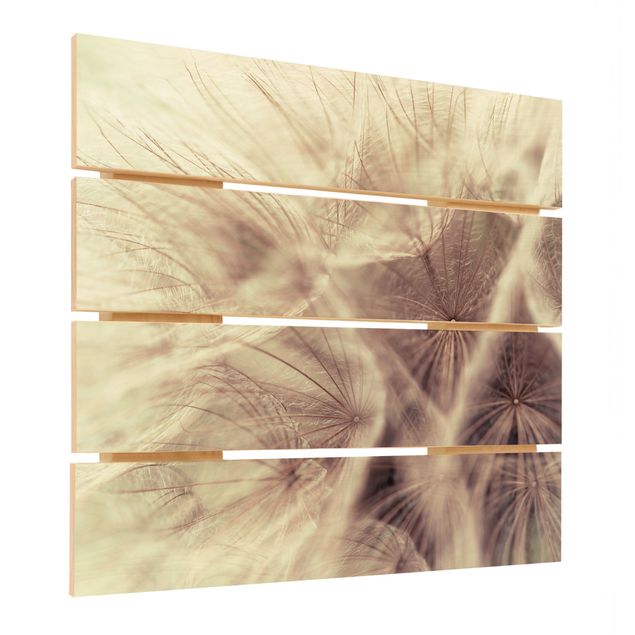 Stampa su legno - Dettagliata Dandelion Macro Shot con sfocatura effetto vintage - Quadrato 1:1