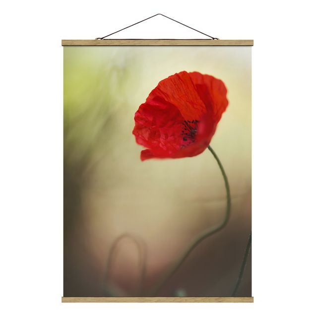 Foto su tessuto da parete con bastone - Papavero fiore nel giardino - Verticale 4:3