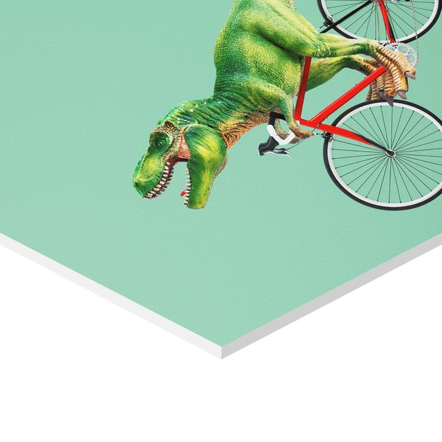 Esagono in forex - Dinosauro con la bicicletta