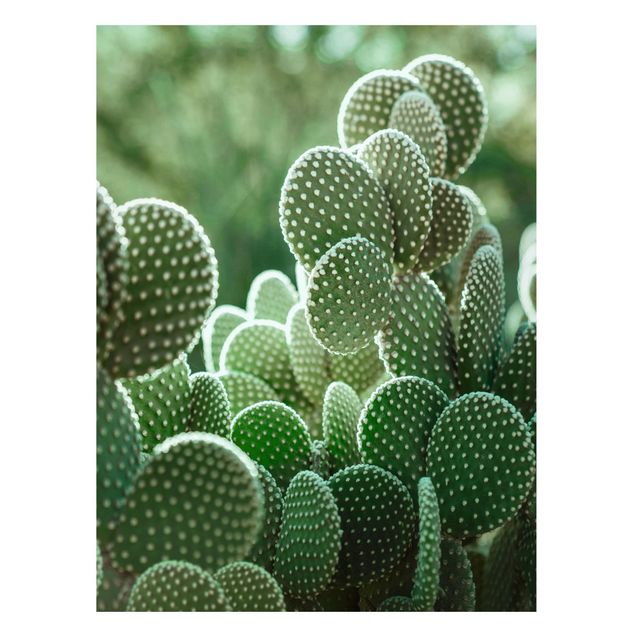 Lavagna magnetica - Cactus