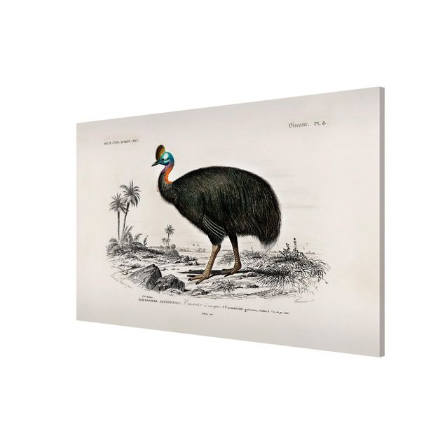 Lavagna magnetica - Vintage Consiglio Emu - Formato orizzontale 3:2