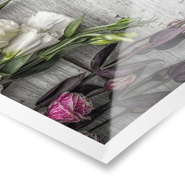 Poster - Tulip Rose Shabby Woodlook - Panorama formato orizzontale
