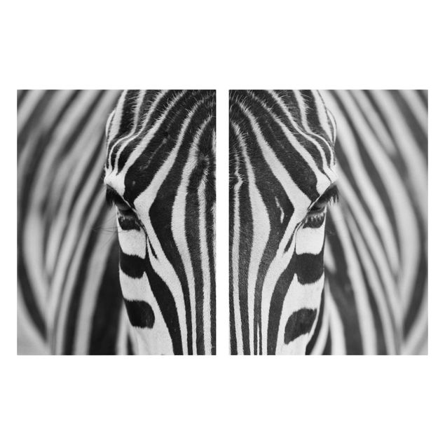Stampe su tela Sguardo da zebra