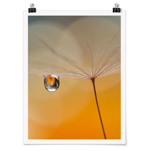 Poster - Dandelion In Arancione - Verticale 4:3