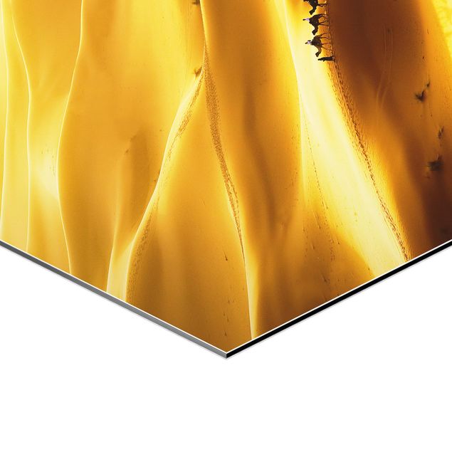 Esagono in Alluminio Dibond - dune dorate