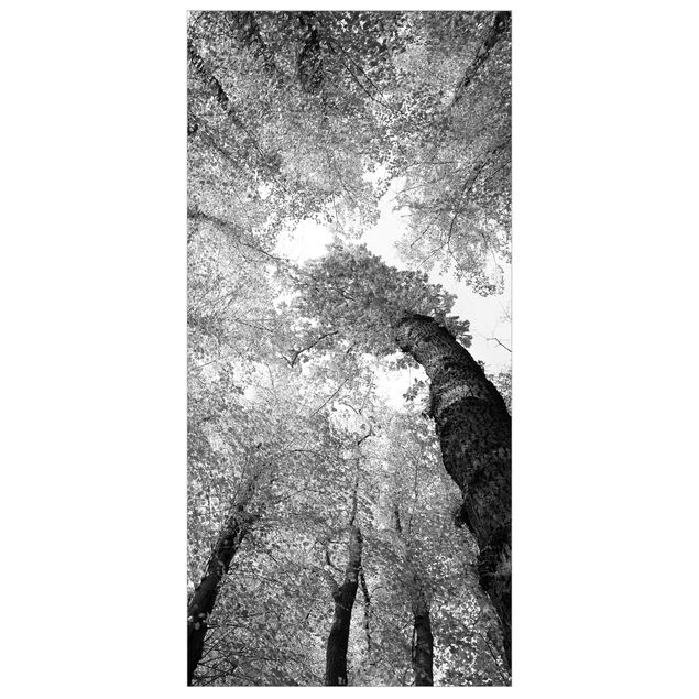 Tenda a pannello Trees of Life II 250x120cm