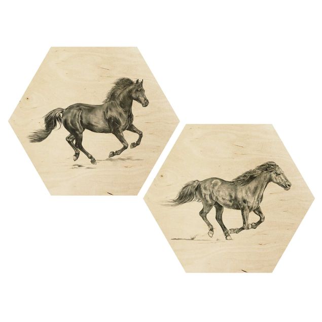 Esagono in legno - Wild Horse Studio Set I