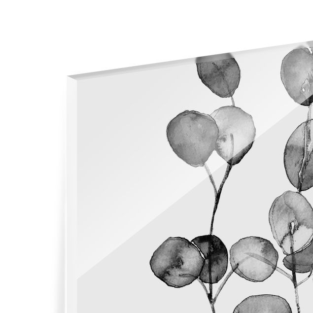 Paraschizzi in vetro - Ramo di eucalipto in acquerello bianco e nero - Quadrato 1:1