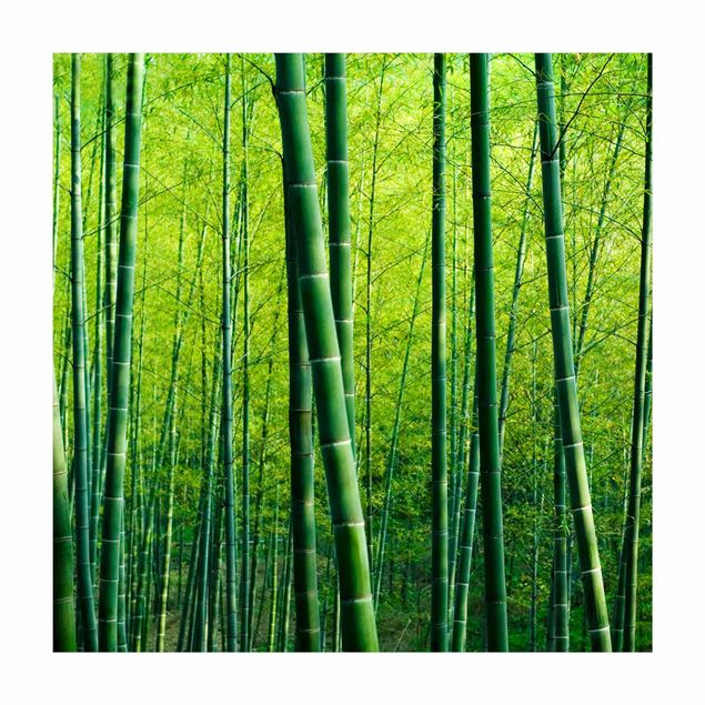 Tappeti 3d Foresta di bambù