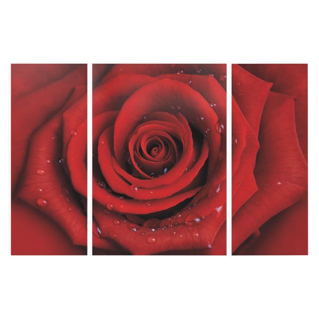 Stampa su tela 3 parti - Red Rose With Water Drops - Trittico