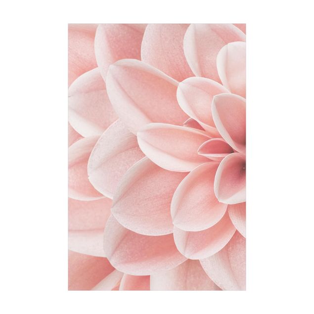 Tappeti in vinile Dettaglio di dalia con petali rosa verticale 2:3 su