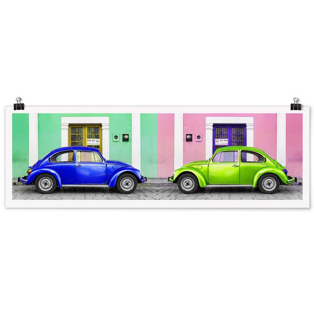 Poster - Colored Beetles - Panorama formato orizzontale