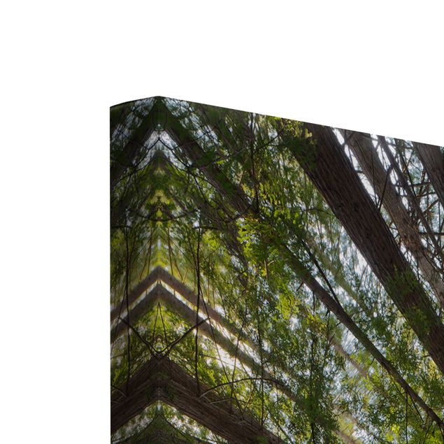Stampa su tela 3 parti - Sequoia Tree Tops - Trittico da galleria