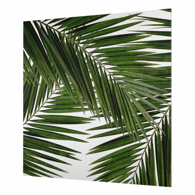 Paraschizzi in vetro - Scorcio tra foglie di palme verdi - Quadrato 1:1