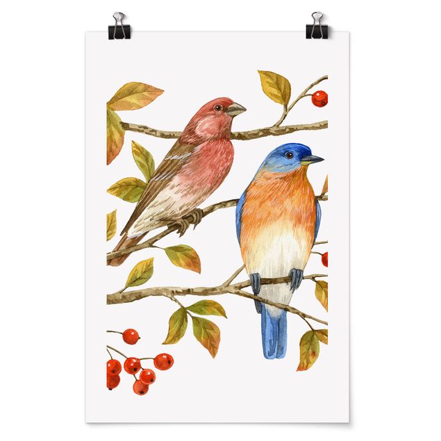 Poster - Uccelli e Bacche - Bluebird - Verticale 3:2