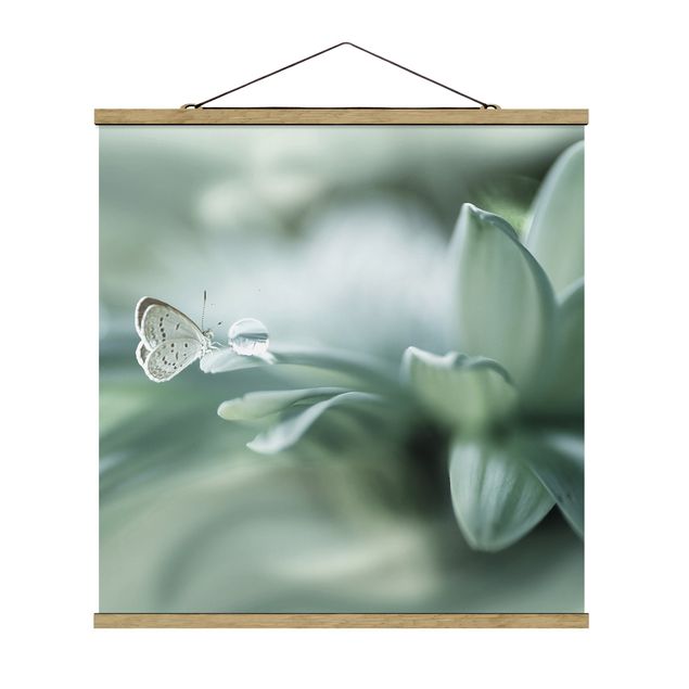 Quadro su tessuto con stecche per poster - Farfalla E le gocce di rugiada In Pastel Verde - Quadrato 1:1