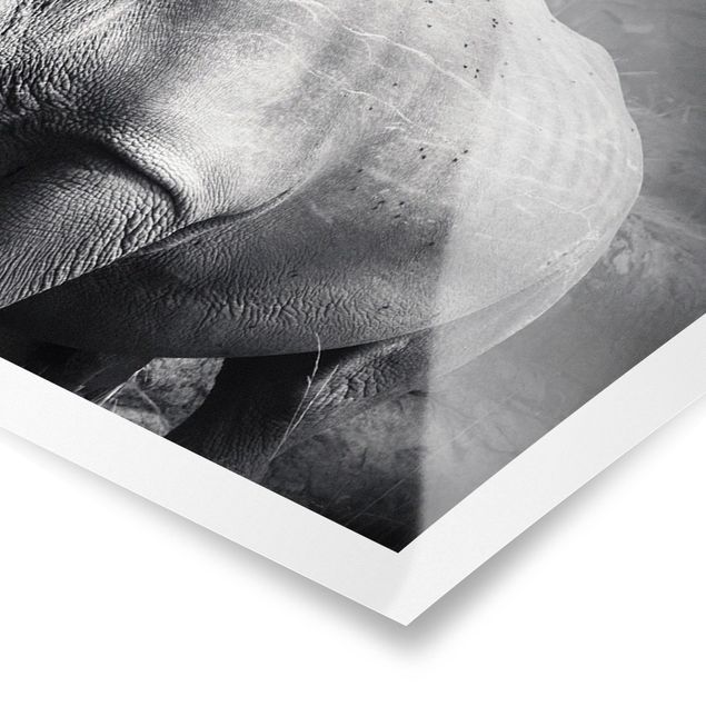 Poster - Lonesome Rhinoceros - Panorama formato orizzontale