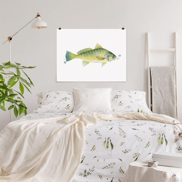 Poster acquerello Colore Cattura - Pesce persico