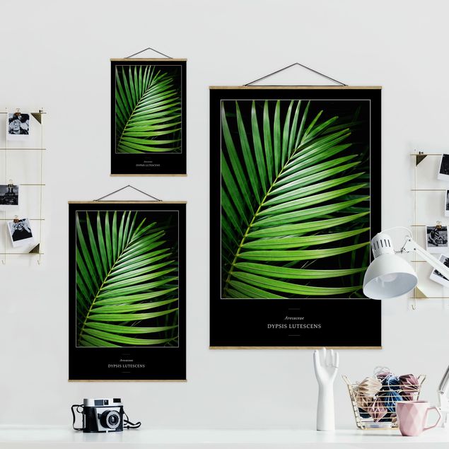 Foto su tessuto da parete con bastone - Tropical Palm Leaf - Verticale 3:2