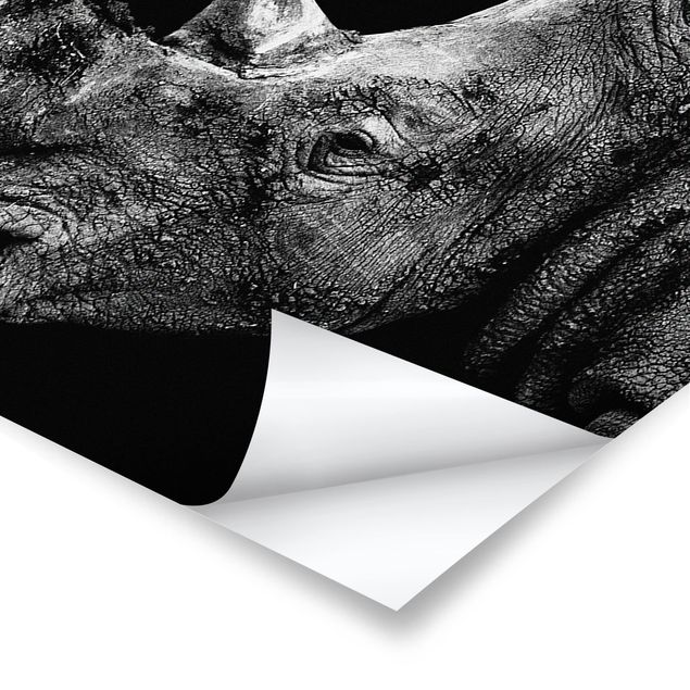 Poster - Rhino Duel - Panorama formato orizzontale