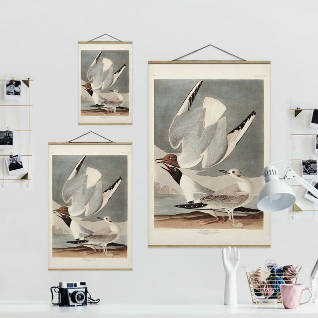 Foto su tessuto da parete con bastone - Vintage Consiglio Bonaparte Gull - Verticale 3:2