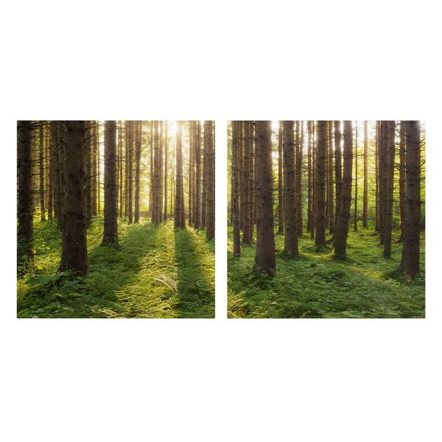 Stampa su tela 2 parti - Sun Rays In Green Forest - Quadrato 1:1