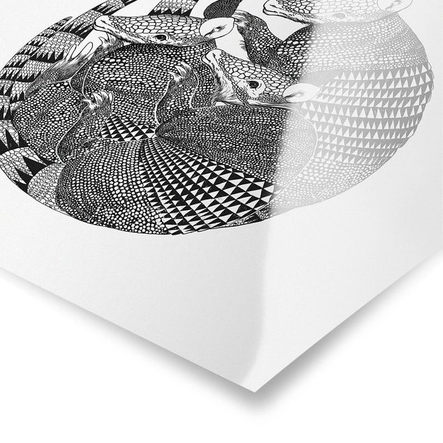 Poster - Illustrazione del modello Armadillos Bianco e nero - Quadrato 1:1