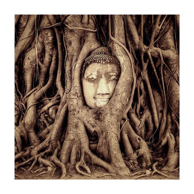 Tappeti foresta Buddha ad Ayutthaya rivestito dalle radici degli alberi in marrone