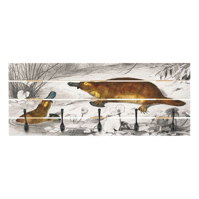 Appendiabiti in legno - Vintage Consiglio Platypus - Ganci cromati - Orizzontale