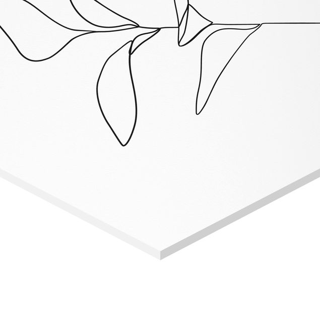 Esagono in forex - Line Art foglie delle piante Bianco e nero