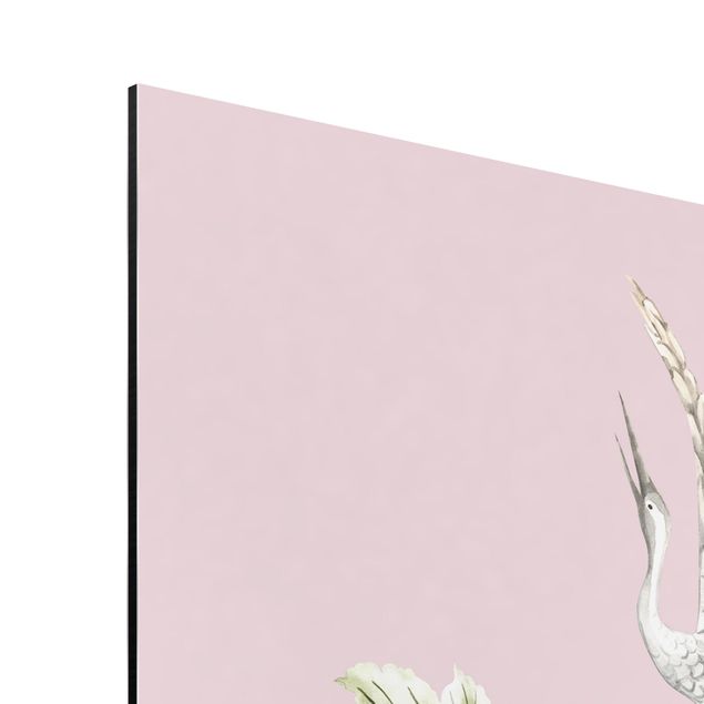 Stampa su alluminio - Acquerello di cicogne in volo con fiori su rosa