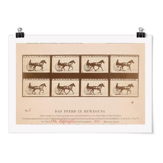 Poster - Eadweard Muybridge - Il Cavallo In Motion - Orizzontale 2:3