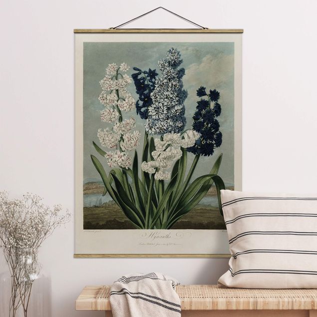 Foto su tessuto da parete con bastone - illustrazione d'epoca Botanica blu e bianco Giacinti - Verticale 4:3