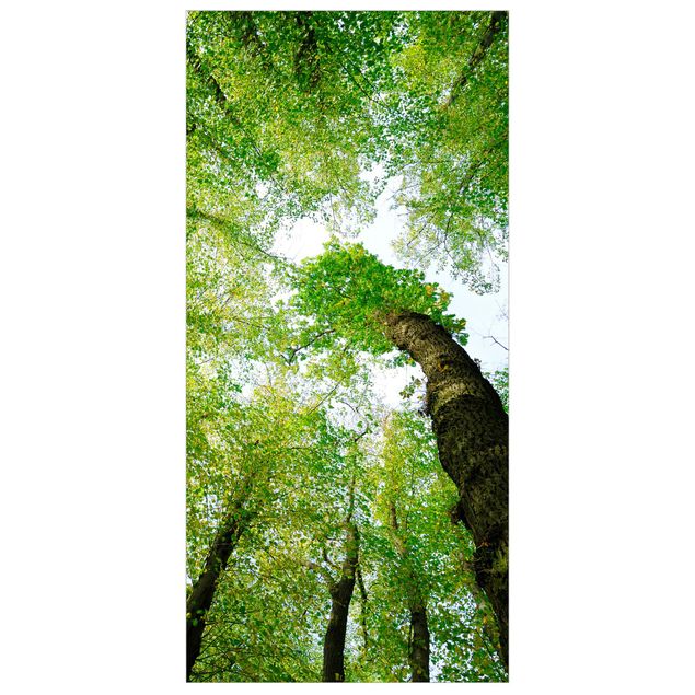 Tenda a pannello Tree of Life 250x120cm