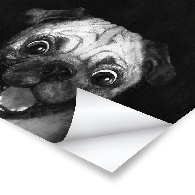 Poster - Illustrazione Pug Dog Pittura Su Bianco e nero - Verticale 4:3