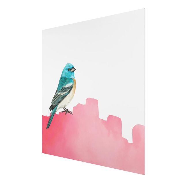 Stampa su alluminio - Uccellino su rosa
