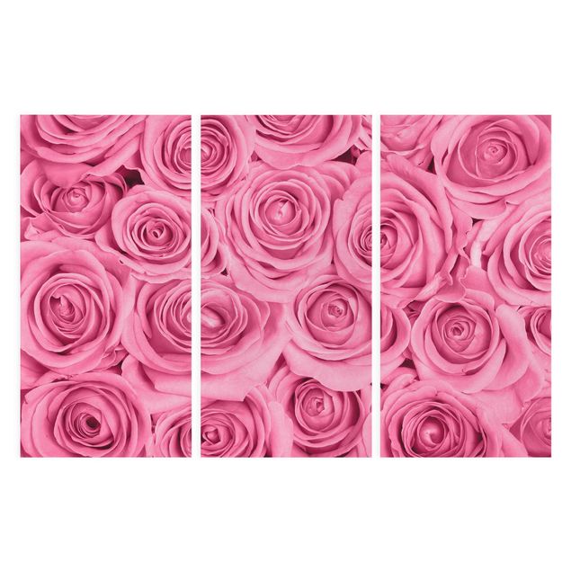 Stampa su tela - Pink Roses - Verticale 3:2